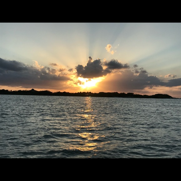 Meet your Posher, Abby - Picture 1 of 1